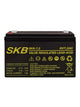 SKB Batteria al piombo SK6-7 batteria ricaricabile 6V 7AH serie SK, tecnologia AGM piastra piana regolate con valvola