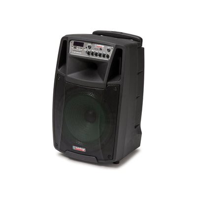 AudioDesign Pro M2 12W/L cassa portatile, diffusore portatile con woofer da 320 mm e 2 microfoni wireless