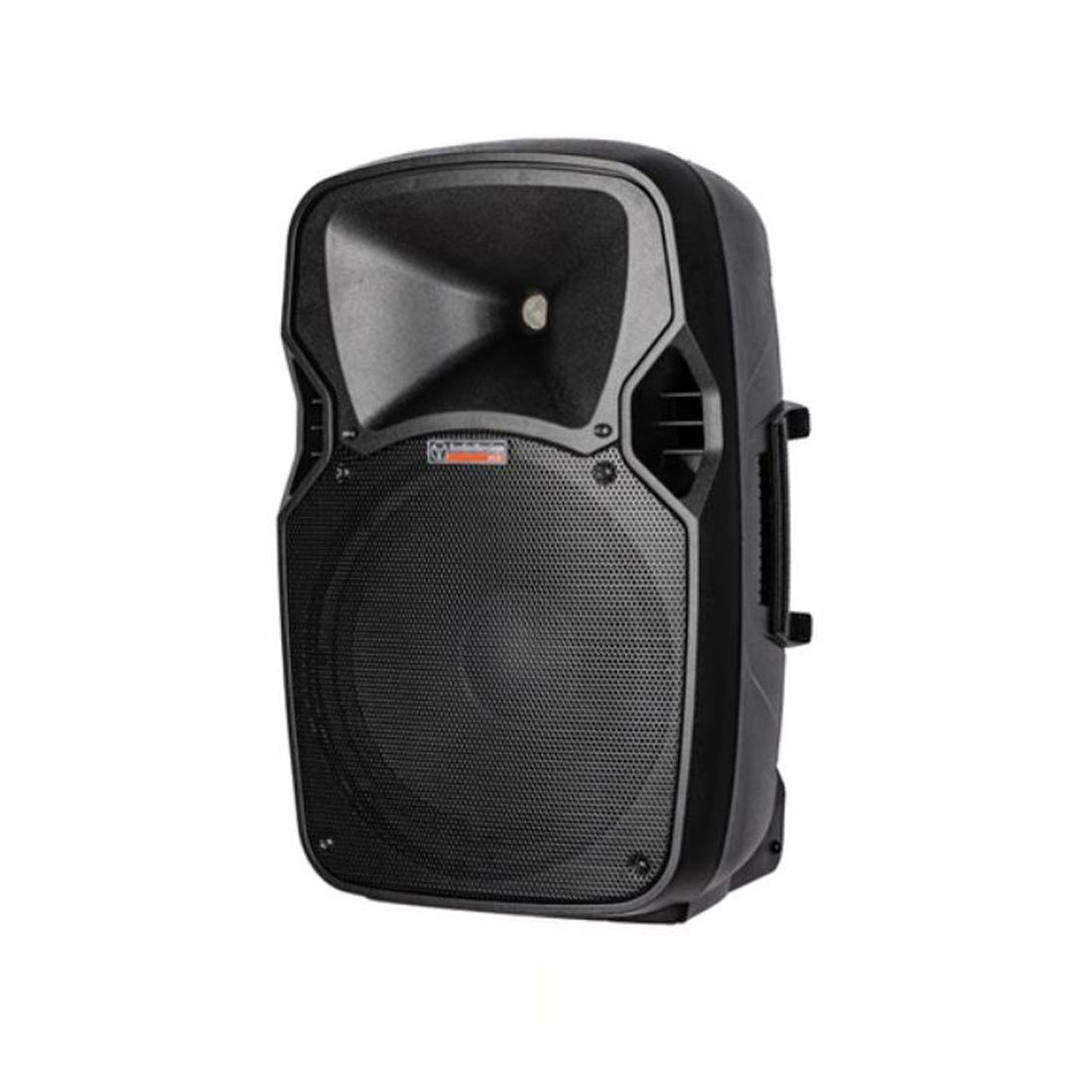 Audiodesign Pro M12-USB Diffusore attivo a 2 vie, cassa con woofer da 320 mm e lettore USB / SD / ricevitore Bluetooth