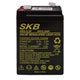 SKB Batteria al piombo SK6-3,2 batteria ricaricabile 6V 3,2AH serie SK, tecnologia AGM piastra piana regolate con valvola