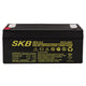SKB Batteria al piombo ricaricabile 6V 3,2AH batteria ermetica serie SK, tecnologia AGM piastra piana regolate con valvola