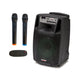 Audiodesign Pro Diffusore attivo portatile a batteria, cassa attiva con microfoni wireless, cassa woofer da 380mm, cassa bluetooth