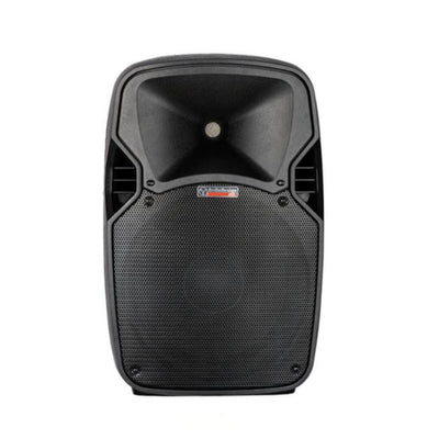 Audiodesign Pro M12-USB Diffusore attivo a 2 vie, cassa con woofer da 320 mm e lettore USB / SD / ricevitore Bluetooth